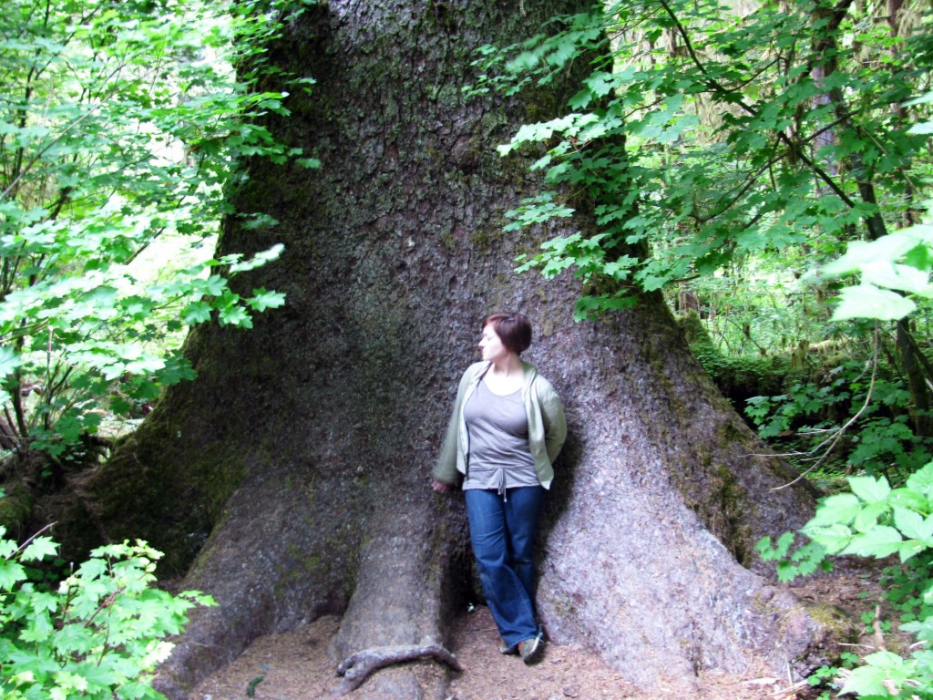 Hoh Rain Forest 069